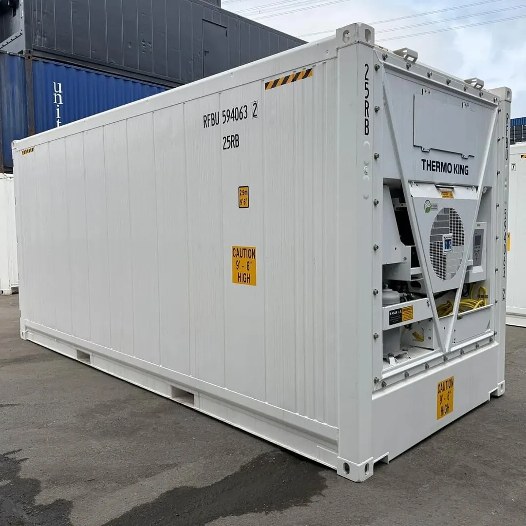20ft Refrigerated Shipping Container (Thermo King Reefer)